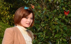 亚洲香蕉免费有线视频